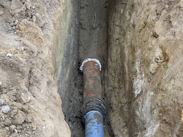 Best Flood restoration services  in Neosho, MO
