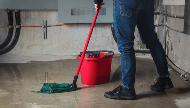 Best 24/7 water damage repair  in Neosho, MO
