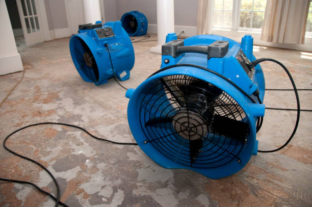 Best Water damage restoration insurance claims  in Neosho, MO