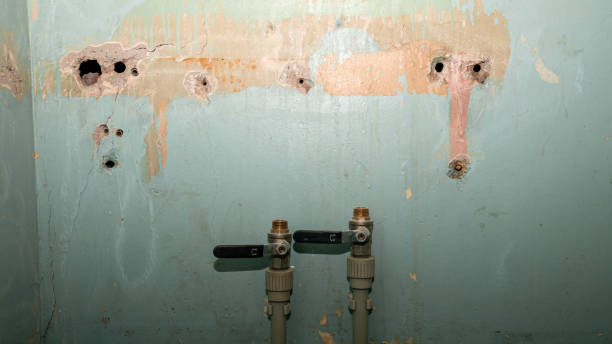 Best Water damage contractors near me  in Neosho, MO