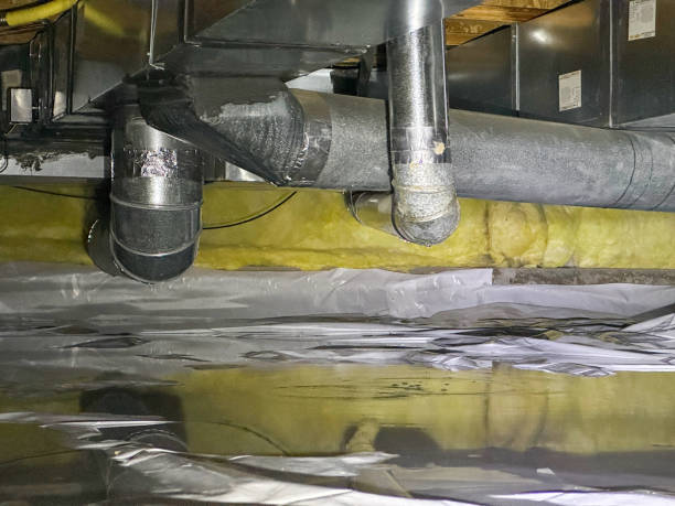 Best Flooded house restoration  in Neosho, MO