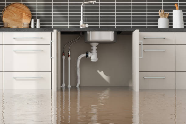 Best Water damage restoration near me  in Neosho, MO