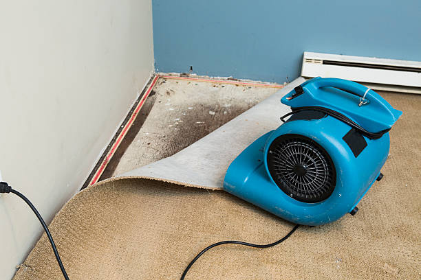 Best Ceiling water damage repair  in Neosho, MO